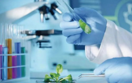 鄉(xiāng)村推薦官 生物技術(shù)推廣服務(wù)的橋梁與先鋒