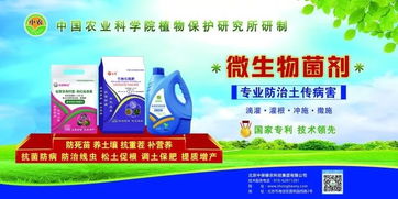 中國農(nóng)科院植保所土傳病害防治專家助力中保集團微生物菌劑技術(shù)推廣