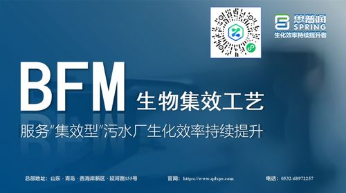 思普潤BFM生物集效工藝 賦能集效型污水廠，驅(qū)動生化效率的持續(xù)躍升